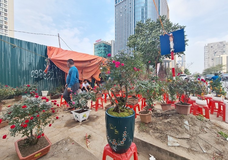 Ha Noi: Tieu thuong dua nhau ha gia, xa hoa Tet som-Hinh-4