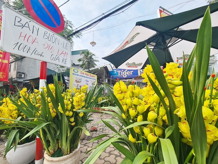 Ha Noi: Tieu thuong dua nhau ha gia, xa hoa Tet som-Hinh-8