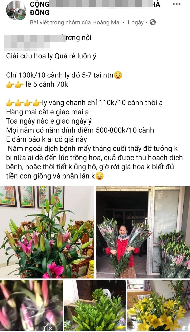 Hoa ly rot gia the tham, bay ban la liet o via he Ha Noi-Hinh-8