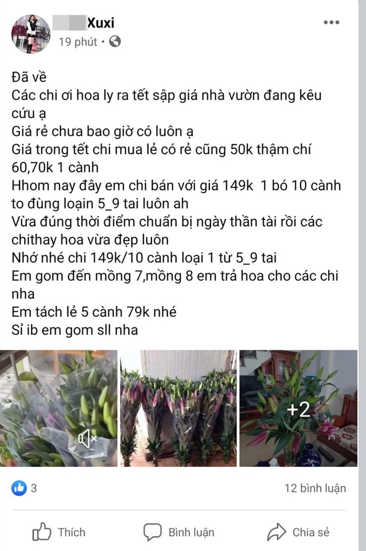 Hoa ly rot gia the tham, bay ban la liet o via he Ha Noi-Hinh-9