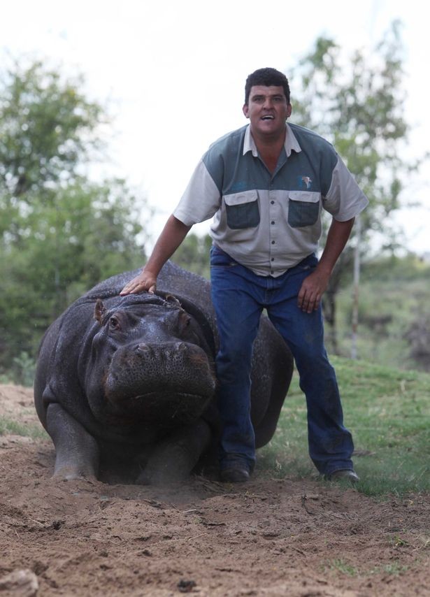 Nguoi cuoi ha ma nang 1.200kg, coi nhu con va ket cuc bi tham-Hinh-3