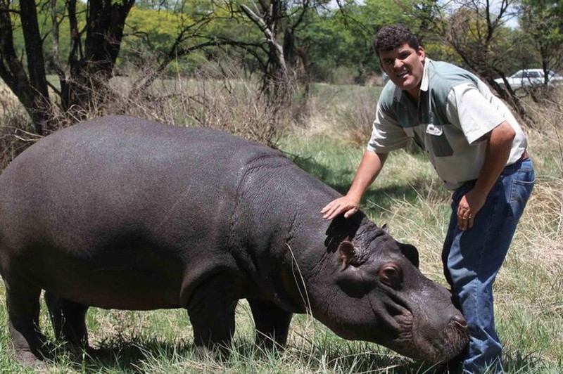 Nguoi cuoi ha ma nang 1.200kg, coi nhu con va ket cuc bi tham