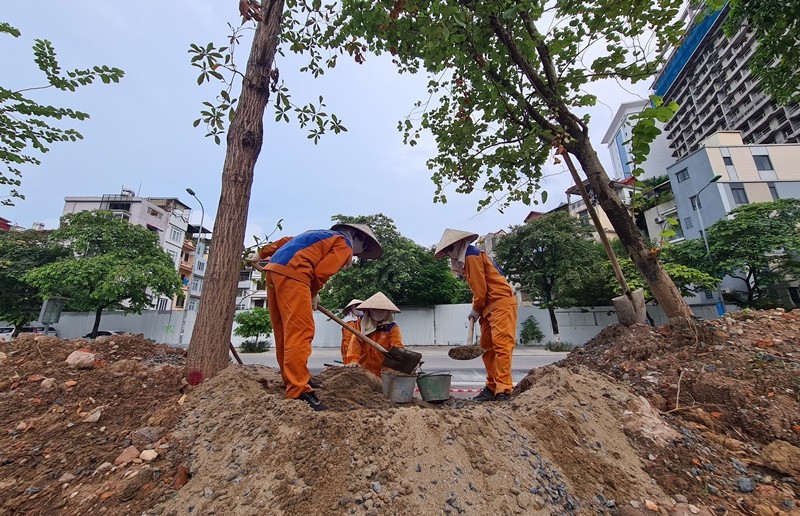 Du an mo rong tuyen duong Lieu Giai - Van Cao gio ra sao?-Hinh-10