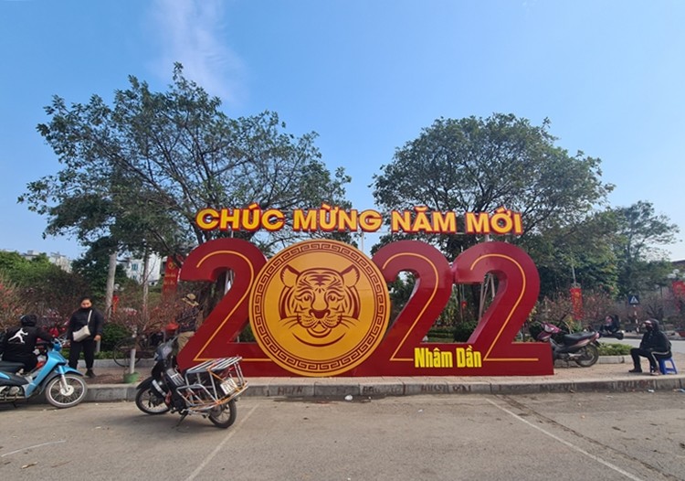 Ha Noi: Hinh anh tram lang o cho hoa Tet tren duong Lac Long Quan-Hinh-10