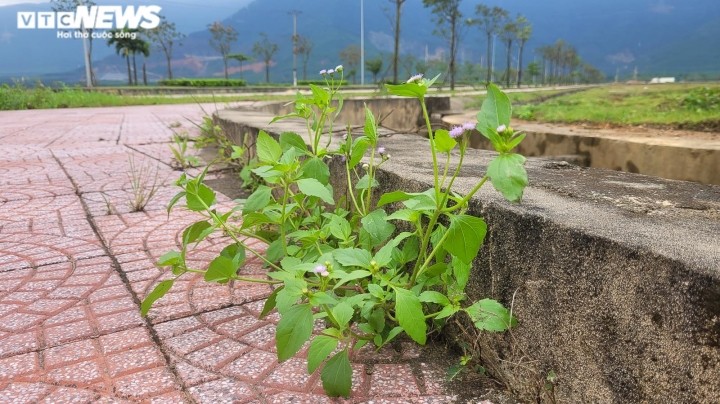 Ha Tinh: Muc so thi du an gan 2000 ty diu hiu, thanh noi tha trau bo-Hinh-8