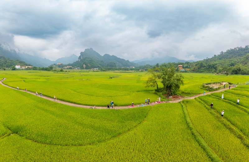 Dap xe giua ruong lua, thu lam banh trung kien cua nguoi Tay-Hinh-4