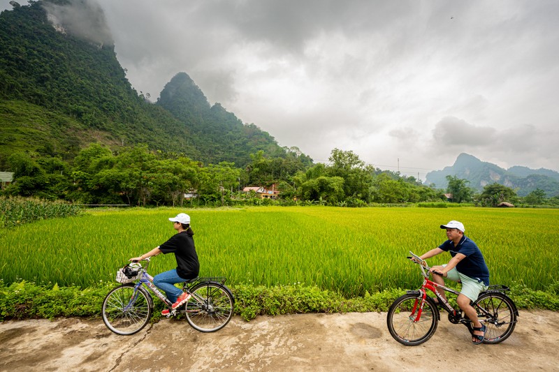 Dap xe giua ruong lua, thu lam banh trung kien cua nguoi Tay-Hinh-8