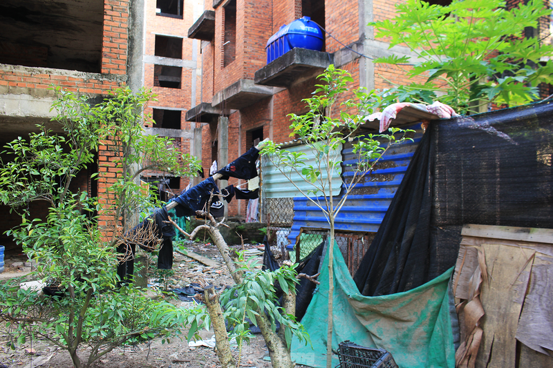 Bac Ninh: Biet thu tien ty bo hoang thanh noi nuoi tha ga nhieu nam-Hinh-4