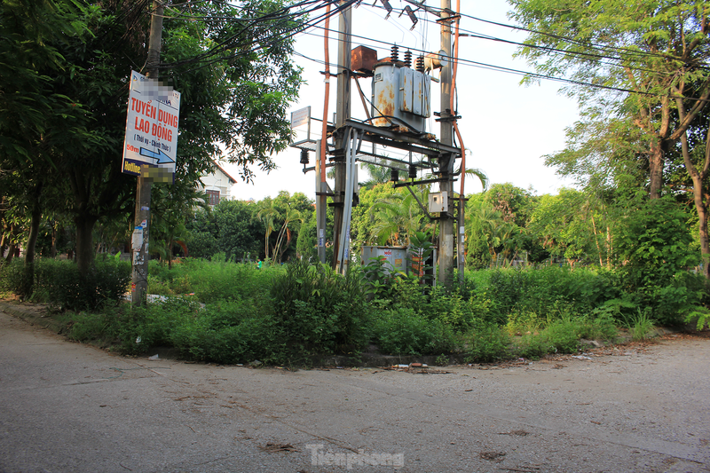 Bac Ninh: Biet thu tien ty bo hoang thanh noi nuoi tha ga nhieu nam-Hinh-6