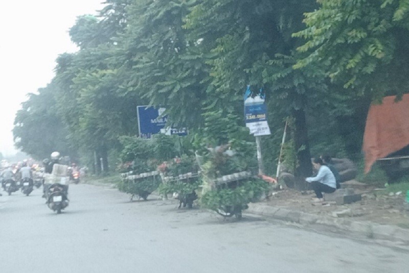 “Cho coc” bung phat tren Dai lo Thang Long, hiem hoa khon luong-Hinh-8