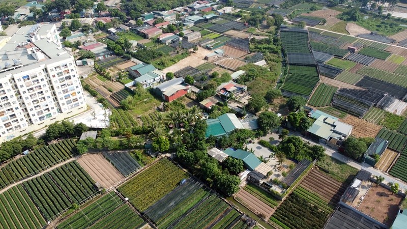 Ha Noi: Loat cong trinh “moc” tren dat nong nghiep o phuong Tay Tuu?-Hinh-5