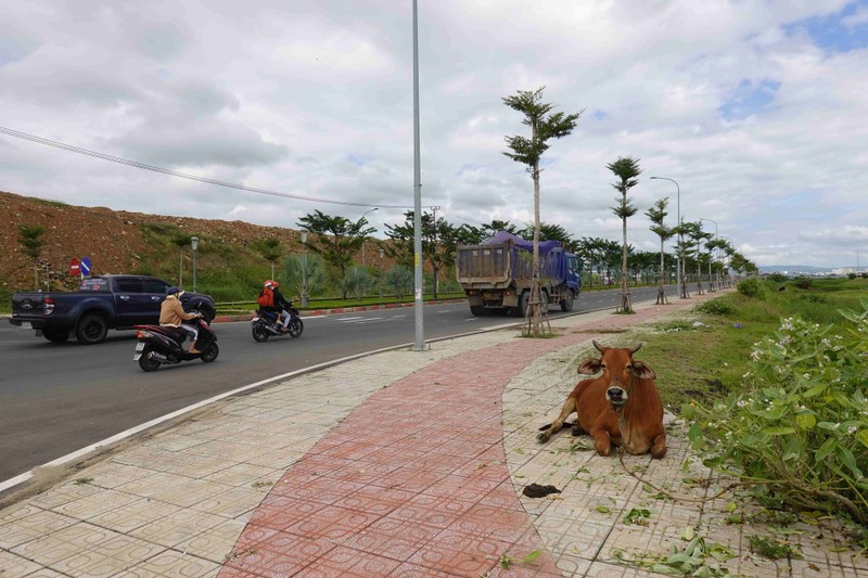 Phu Yen: Du an nghin ty Vuon Phuong Hoang thanh bai chan bo-Hinh-10