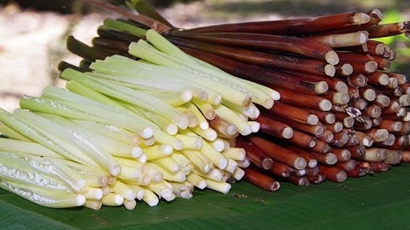 Co dai o mien Tay bong thanh dac san, nong dan “hai” ra tien-Hinh-8