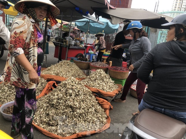 Trong thu cu ban Tet dat nhu tom tuoi, nong dan thu bon tien-Hinh-4