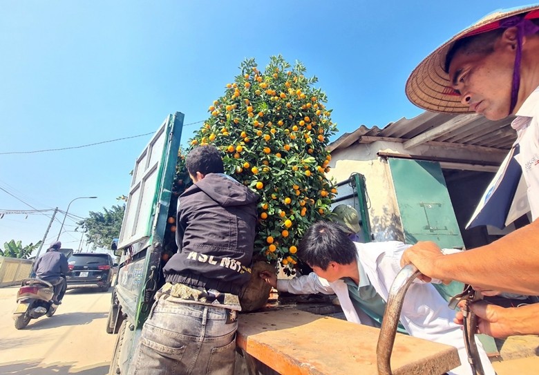 Ha Noi: Dich vu “ship” quat canh hot bac dip Tet-Hinh-6