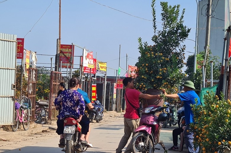 Ha Noi: Dich vu “ship” quat canh hot bac dip Tet-Hinh-7