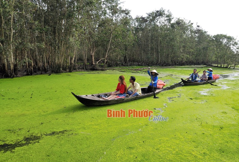 Nong nghiep Dong Thap thu hut khach vui xuan-Hinh-14