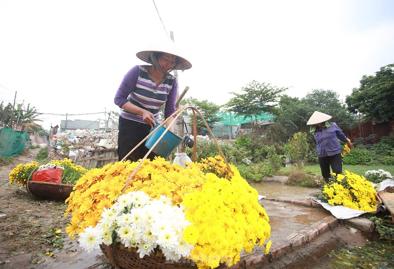 Ngay 8/3 cua nhung nguoi phu nu o lang hoa noi tieng Ha Noi-Hinh-8