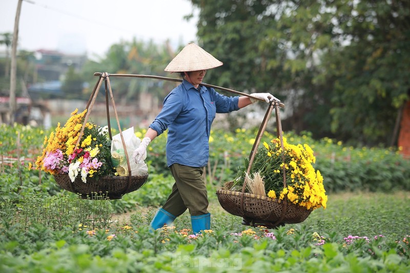 Ngay 8/3 cua nhung nguoi phu nu o lang hoa noi tieng Ha Noi-Hinh-9