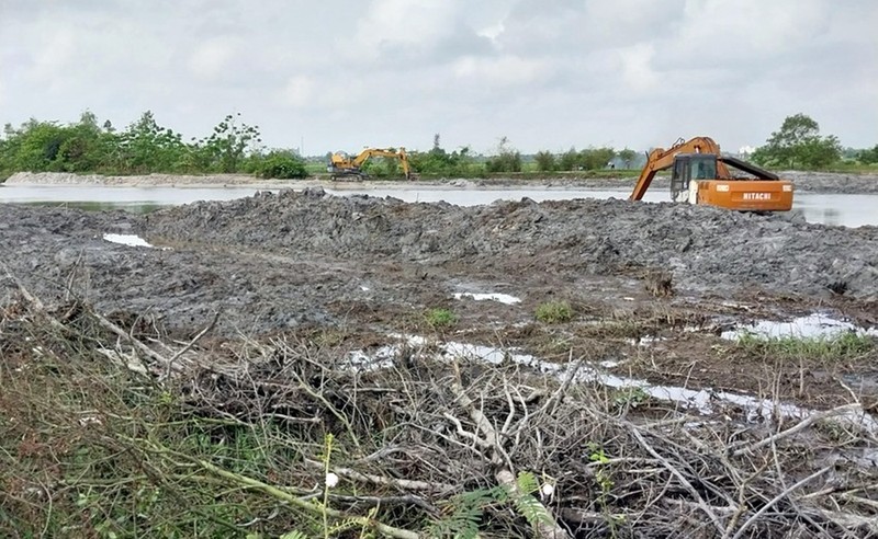 Hue: Hien truong 0,72ha rung ngap man bi san ui lam bo ke