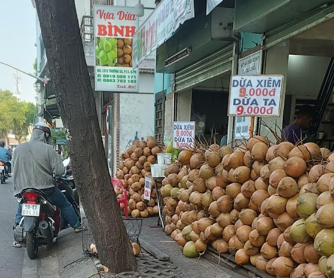 Vi sao dua tuoi re beo giua mua nang nong gay gat?-Hinh-2