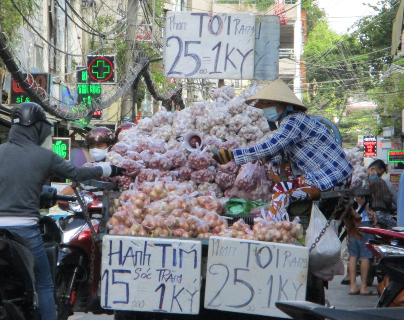 Nong dan Hai Duong trong hanh lai 270 trieu dong/ha