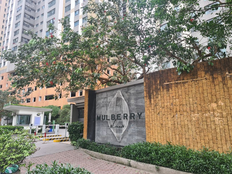 Ha Noi: Cu dan Mulberry Lane buc xuc bi khoa banh xe o to-Hinh-3