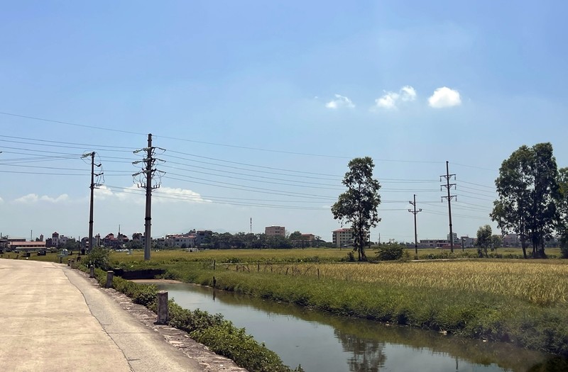 Ha Noi: Du an cho dau moi Bich Hoa bi to phan lo, “ban lua non“?-Hinh-5