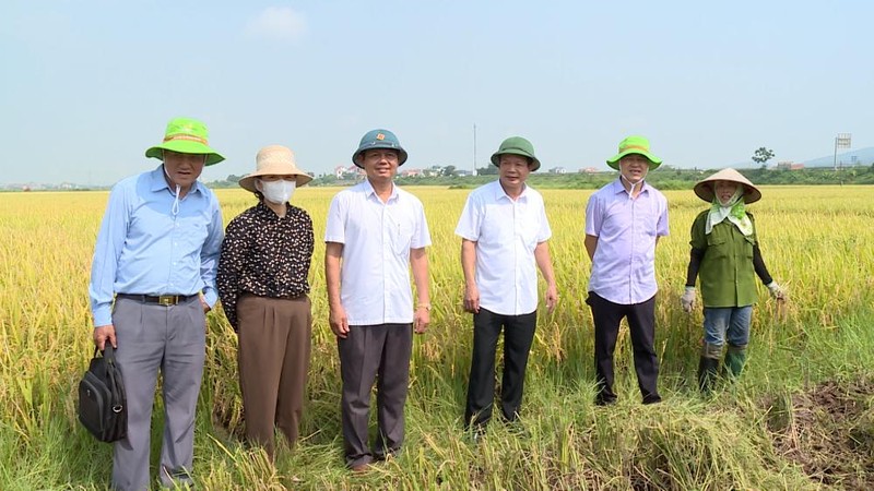 Bac Ninh: Thi xa Que Vo tap trung phong ngua va de cao viec ung pho voi thien tai-Hinh-2