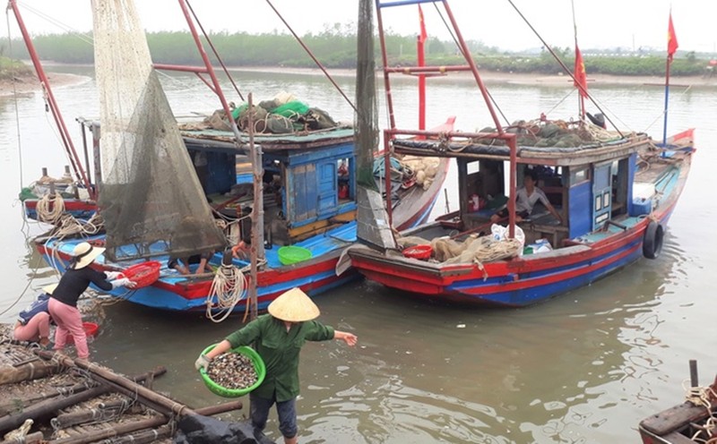 Thanh Hoa: Can canh ben ca Hoang Phu hon 6 nam hoan thanh van chua hoat dong-Hinh-5