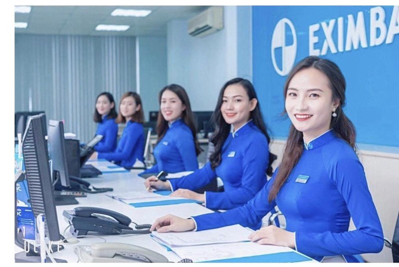 Duoi thoi Chu tich Luong Thi Cam Tu, Eximbank kinh doanh the nao?-Hinh-2