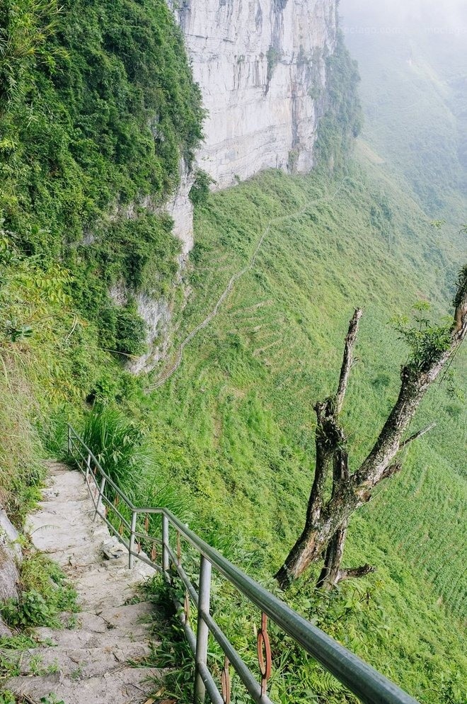 Cam trai 'nghin sao' tren vach da o Ha Giang-Hinh-2