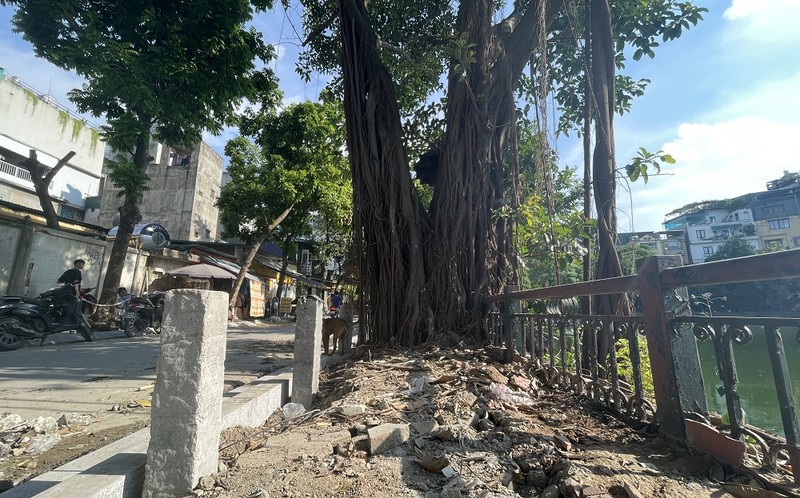 Ha Noi: Coc be tong “quay” via he ho Van Chuong, dan phan ung gay gat-Hinh-10