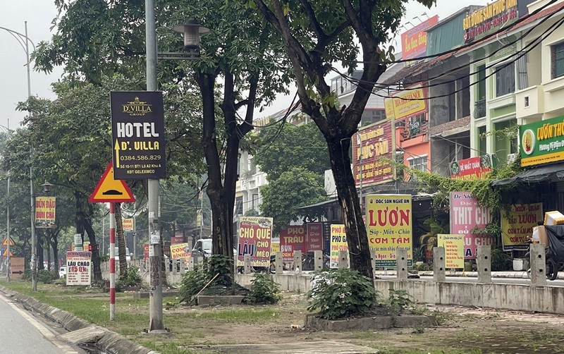 Ha Noi: Nhuc nhoi “nan” lan chiem via he duong Le Trong Tan de kinh doanh-Hinh-11