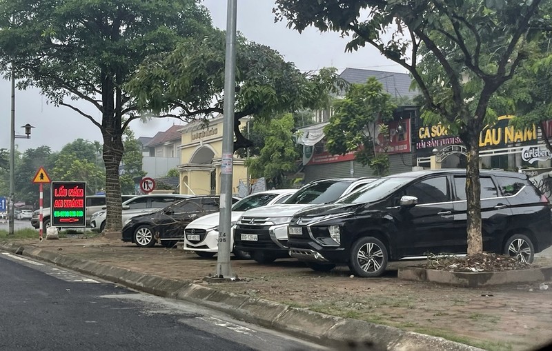 Ha Noi: Nhuc nhoi “nan” lan chiem via he duong Le Trong Tan de kinh doanh-Hinh-5