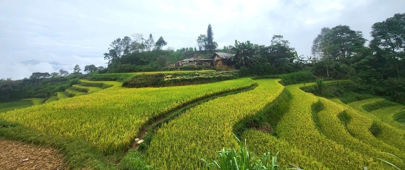 “Nhung chiec thang tuyet voi leo len bau troi Tay Bac“-Hinh-6