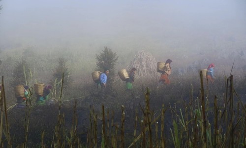 Ngoi lang ‘3 khong’ nghin tuoi an minh trong may o Ha Giang-Hinh-5