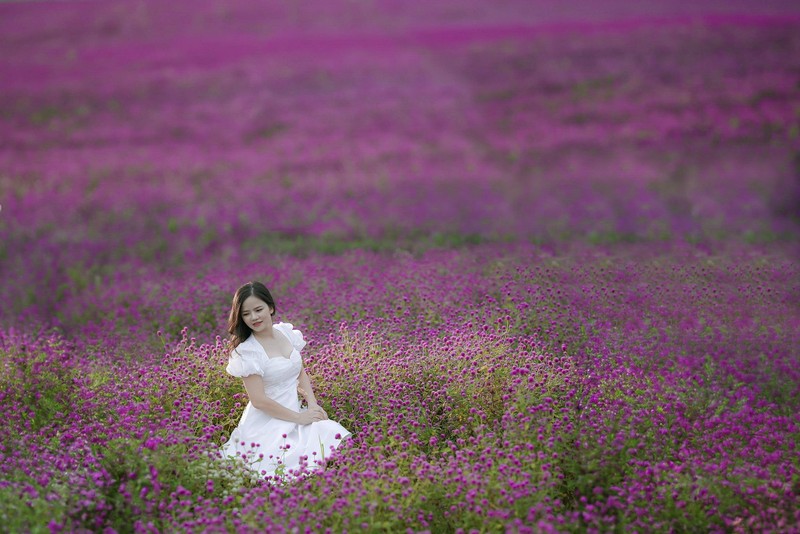 Kham pha canh dong hoa dep tua troi Au giua long Ha Noi-Hinh-8