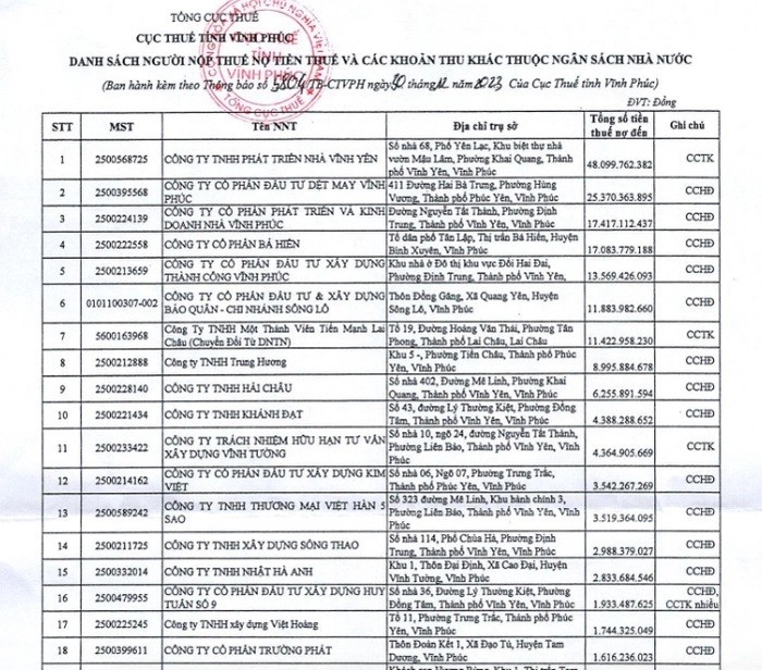 No thue gan 49 ty, cong ty Phat trien nha Vinh Yen “om” du an nao?