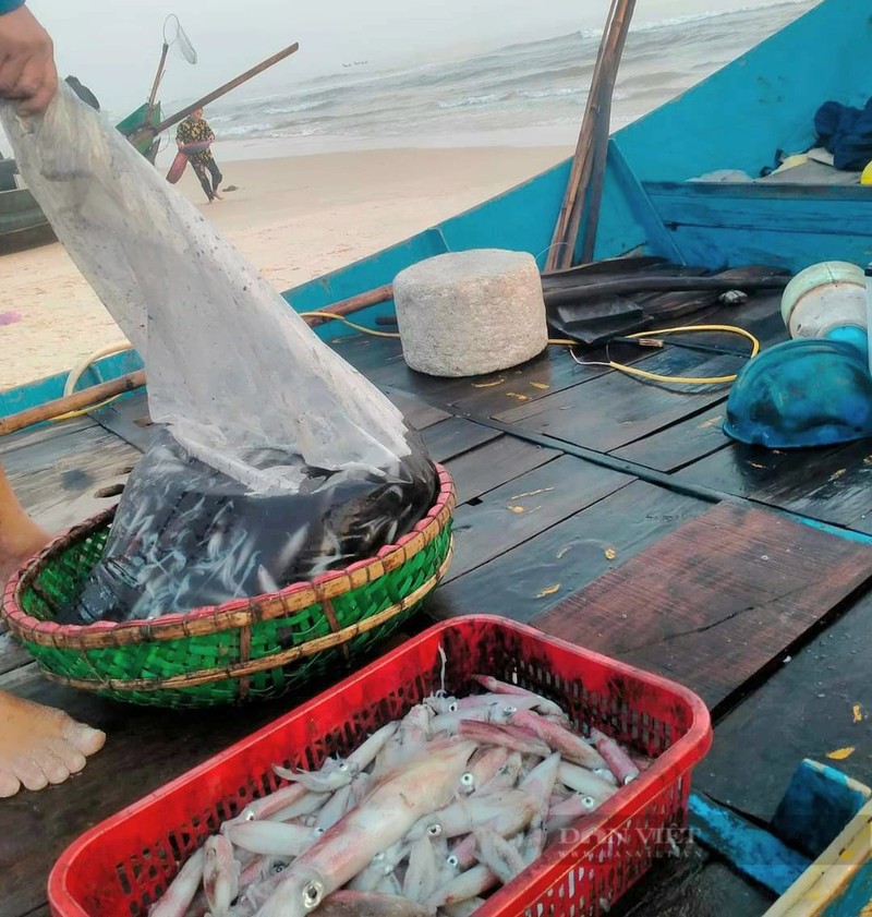 Ngu dan cau duoc toan muc to, ban dat nhat 300.000 dong/kg