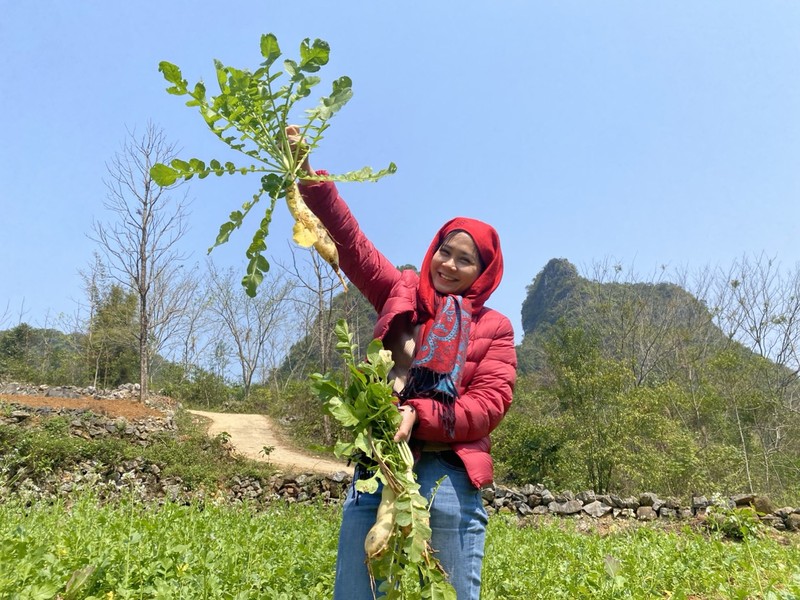 Doi che Lung Sau hap dan khach du lich-Hinh-4