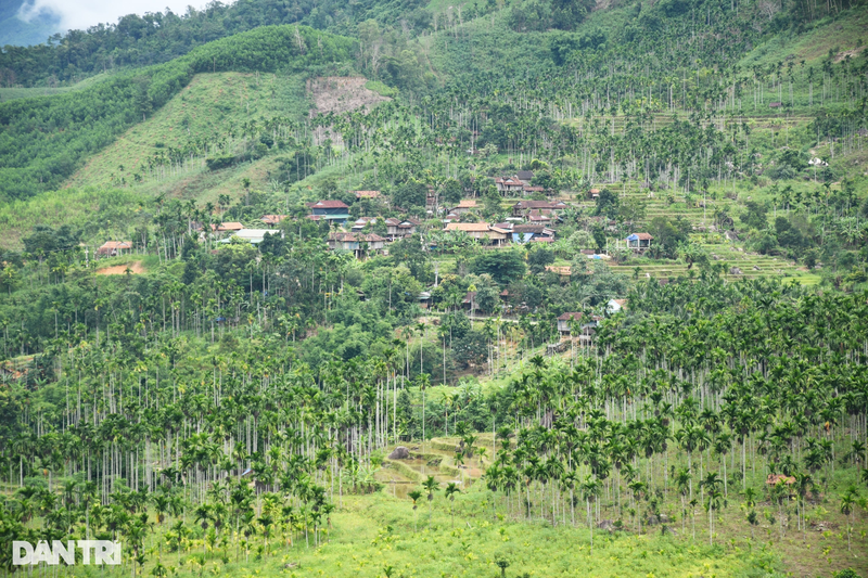 Doc dao phien cho mo cau o Quang Ngai-Hinh-12