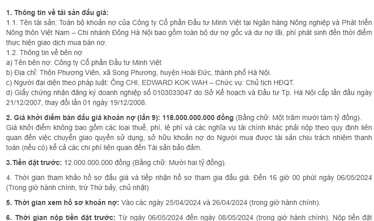Cong ty Minh Viet co chu tich “bo tron” om du an nao?-Hinh-7