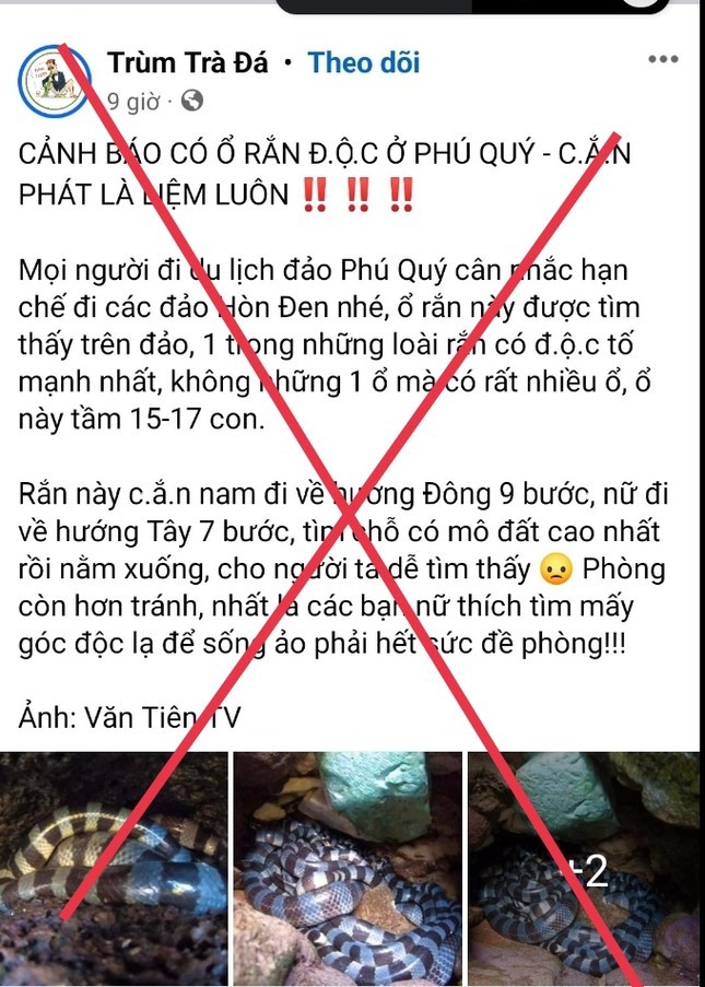 Thuc hu nhieu ‘o ran doc nhat the gioi’ o dao Phu Quy-Hinh-5