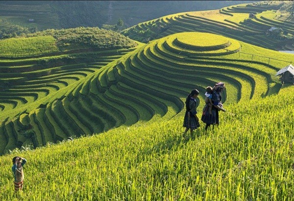 View - 	Báo nước ngoài nêu 9 nơi có cảnh đẹp nhất ở Việt Nam