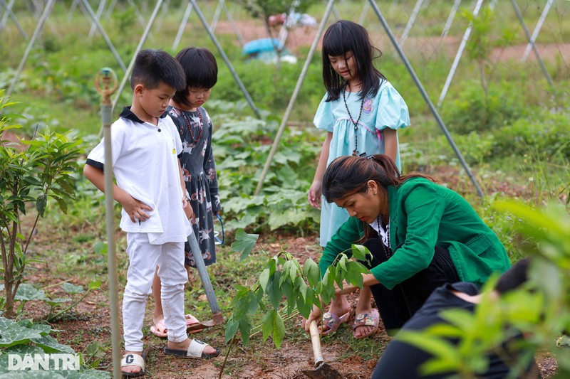 Oanh Yen's flowering journey with the rod len len Thanh Pho-Picture-2