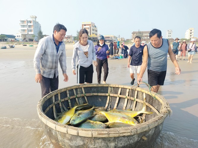 Trung me ca dac san, ngu dan Ha Tinh thu loi hon 300 trieu