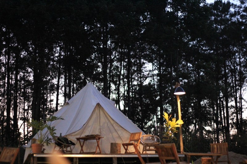 Su khac biet Glamping va cam trai