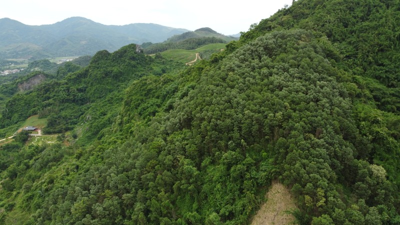 Nguoi dan keu cuu vi mat dat, chinh quyen dia phuong noi gi?