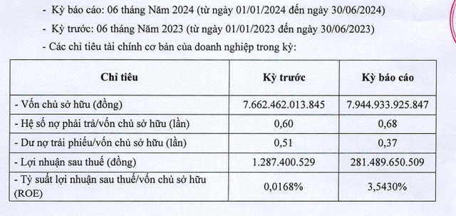 Cong ty Dau tu Big Gain lai gap 100 lan, tai san tang sao?-Hinh-2